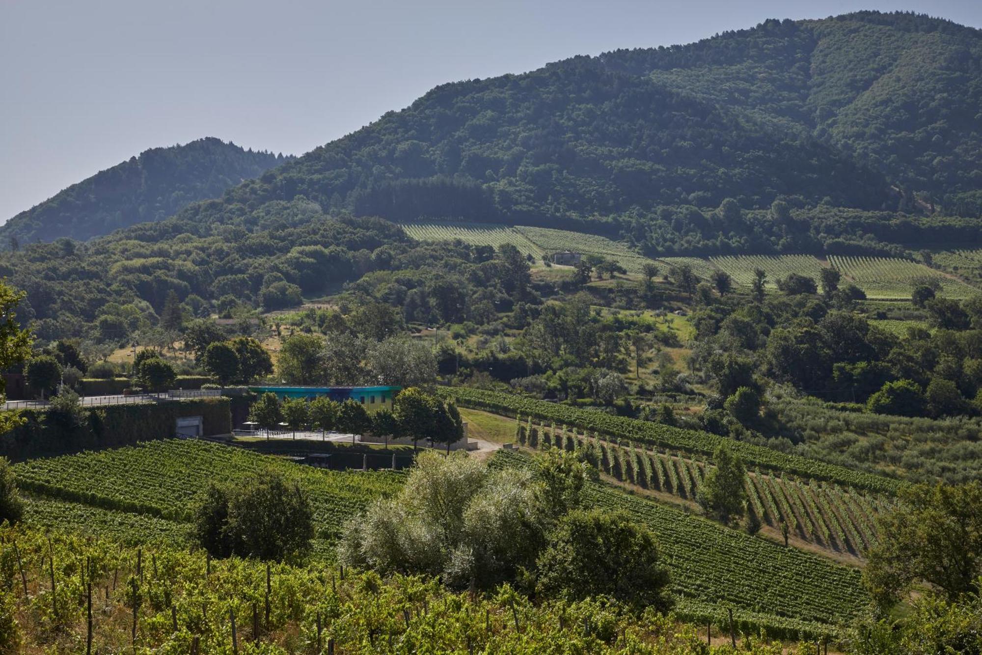 Borgo San Gregorio Villa Sorbo Serpico Eksteriør billede