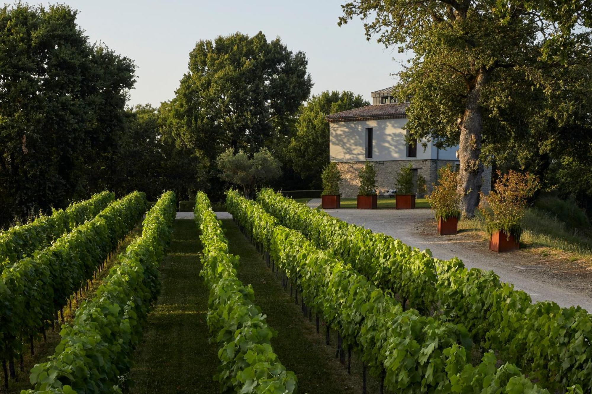 Borgo San Gregorio Villa Sorbo Serpico Eksteriør billede